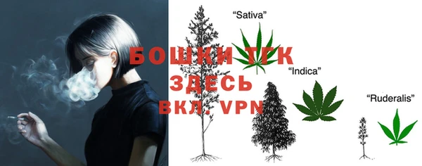 винт Баксан