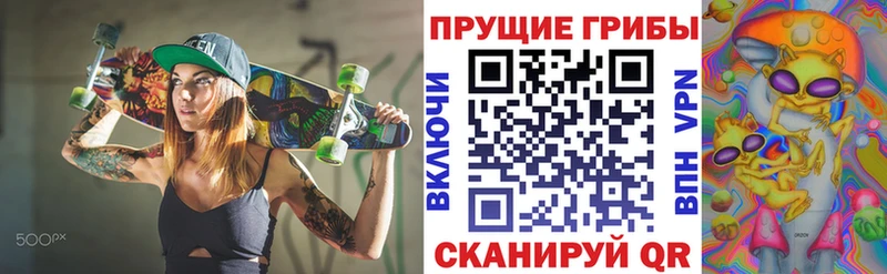 Псилоцибиновые грибы мицелий  ОМГ ОМГ онион  Семикаракорск  сколько стоит 